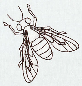 Nature's Curiosities Honeybee