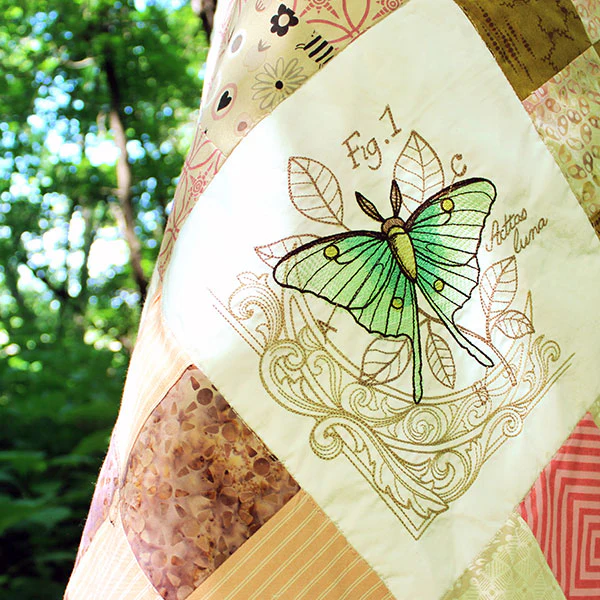 Nature's Curiosities Quilt Design Pack - Image 10