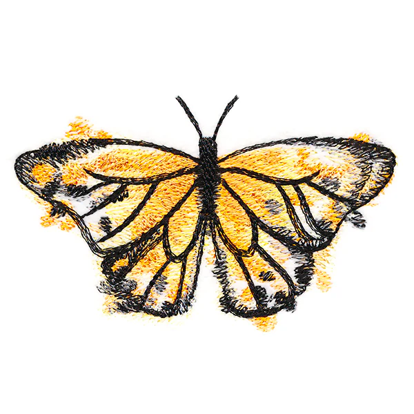 Nature's Palette Monarch - Image 5