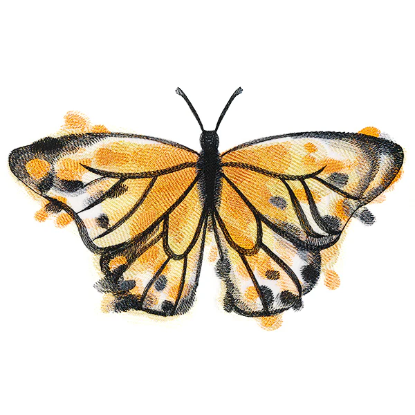 Nature's Palette Monarch - Image 6