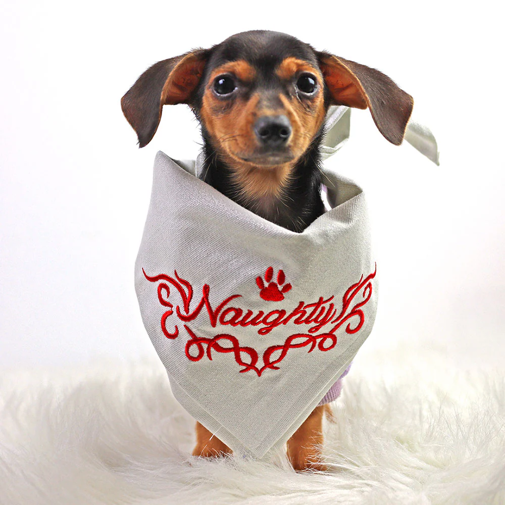 Naughty Pet Bandana - Image 4
