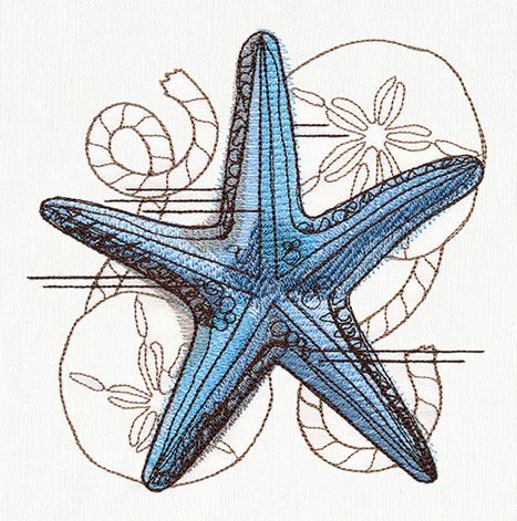 Nauticus - Starfish - Image 4