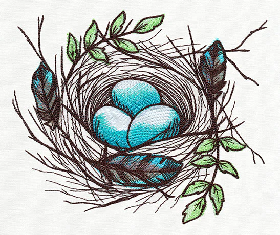 Nest - Eggs