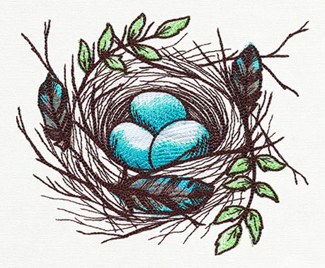 Nest - Eggs - Image 2