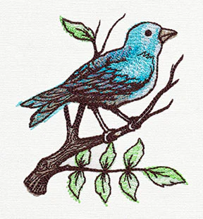Nest - Perching Bird - Image 3