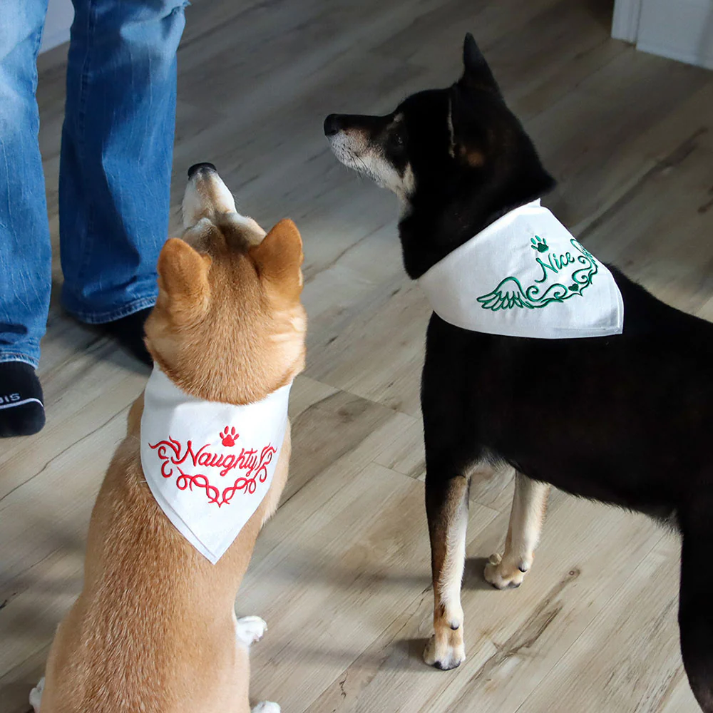 Nice Pet Bandana - Image 3