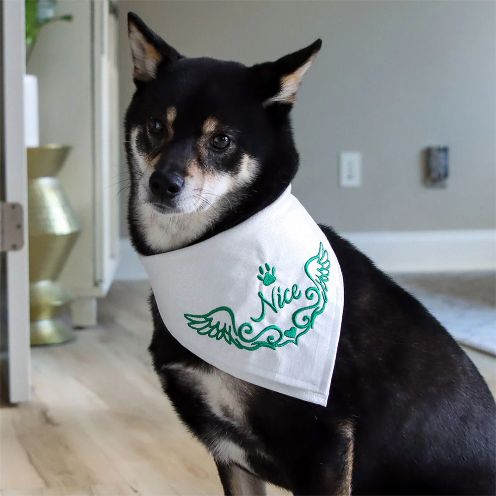 Nice Pet Bandana - Image 7