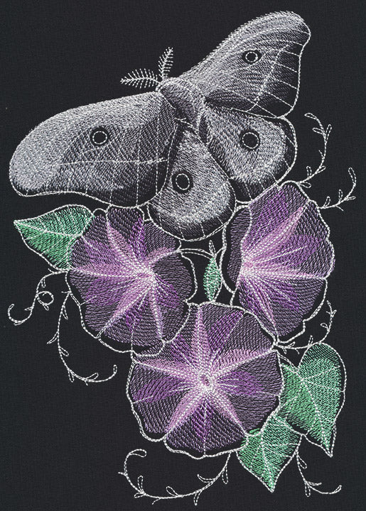 Nocturnus - Moth - Image 6