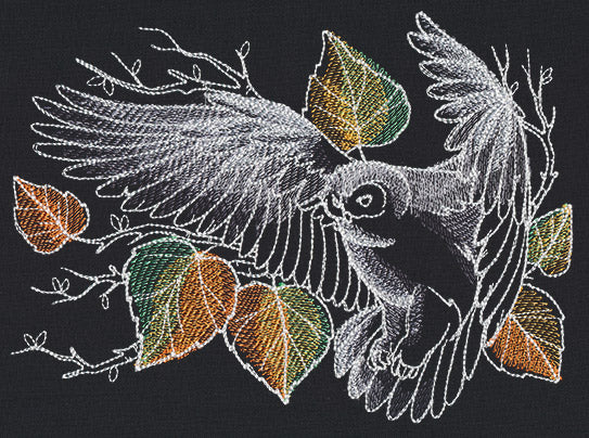 Nocturnus - Owl - Image 3