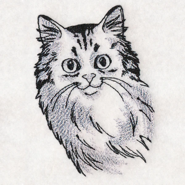 O Hai - Image 4