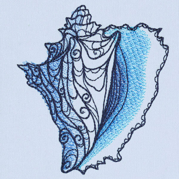 Ocean Blue - Conch Shell - Image 5