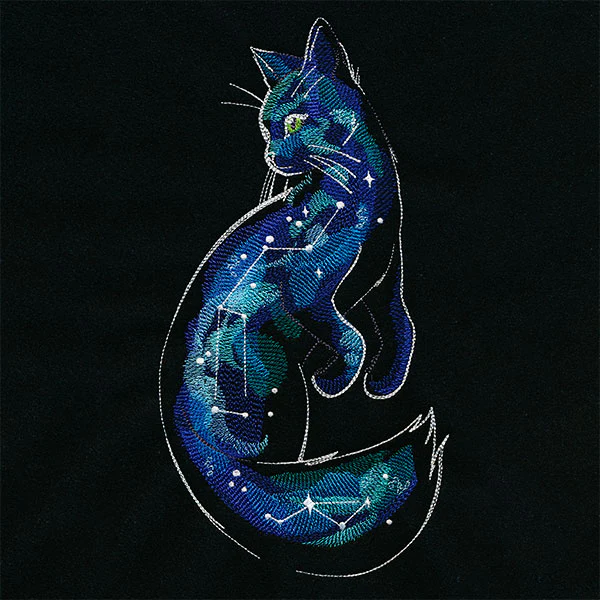 Of the Galaxy Cat