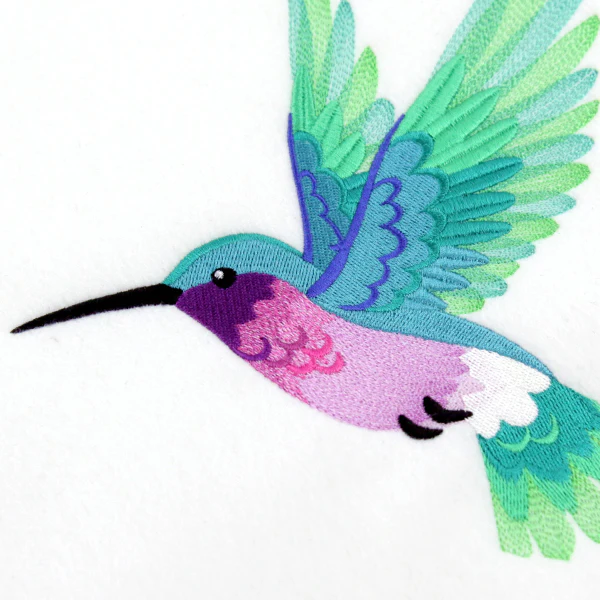 Ombre Hummingbird in Flight - Image 2