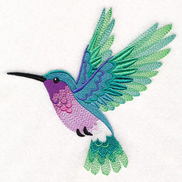 Ombre Hummingbird in Flight - Image 5