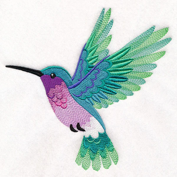 Ombre Hummingbird in Flight - Image 9