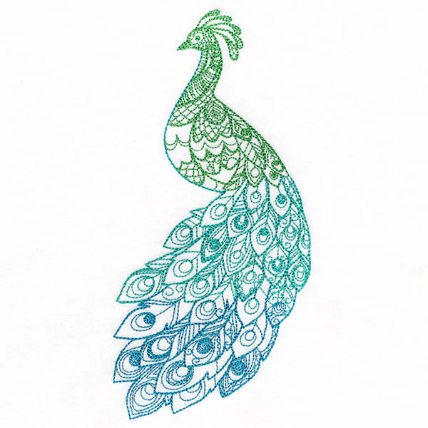 Ombre Majesty Peacock - Image 9