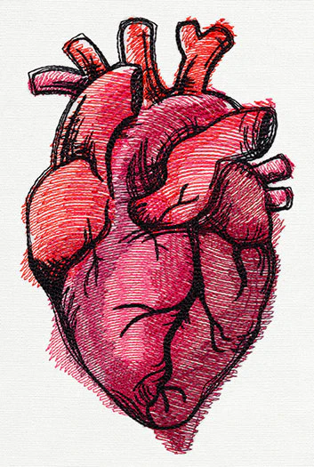 Painted Anatomical Heart - Image 2
