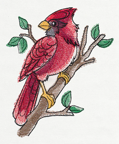 Painted Cardinal - Image 4