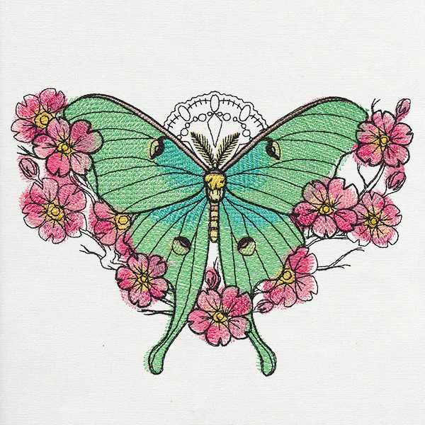 Painted Luna Moth - Image 2