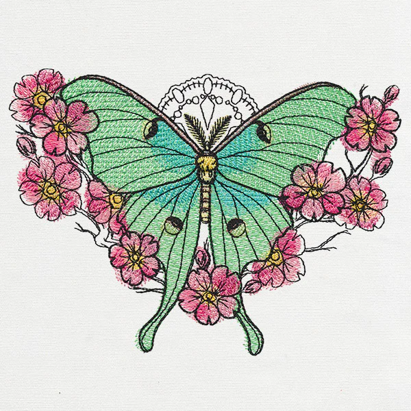 Painted Luna Moth - Image 3