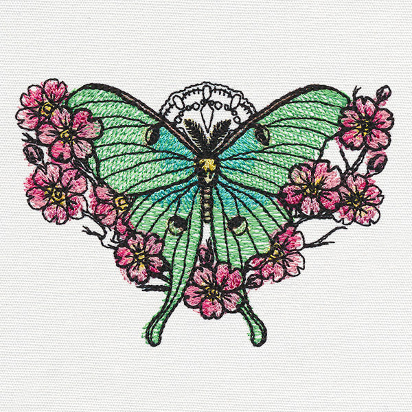 Painted Luna Moth - Image 4