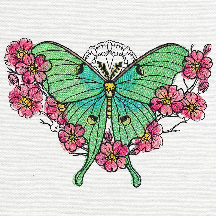 Painted Luna Moth - Image 5
