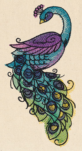 Painted Peacock - Image 2