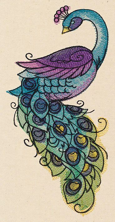 Painted Peacock - Image 4