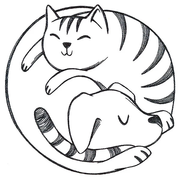 Paw-sitively Snuggly Cat & Dog