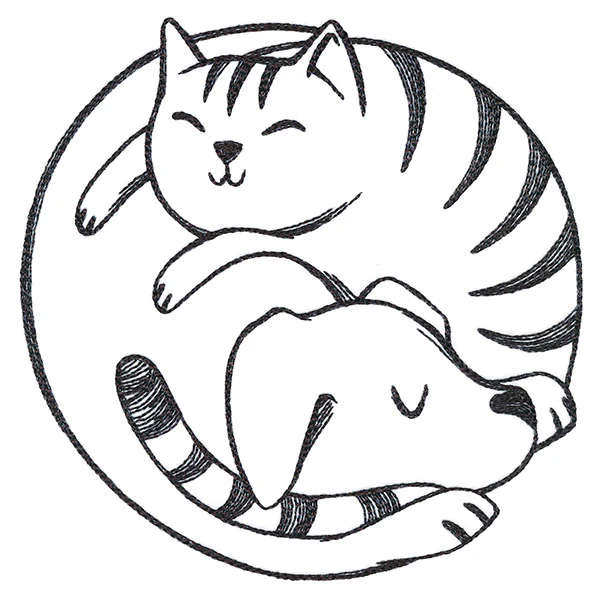Paw-sitively Snuggly Cat & Dog - Image 3