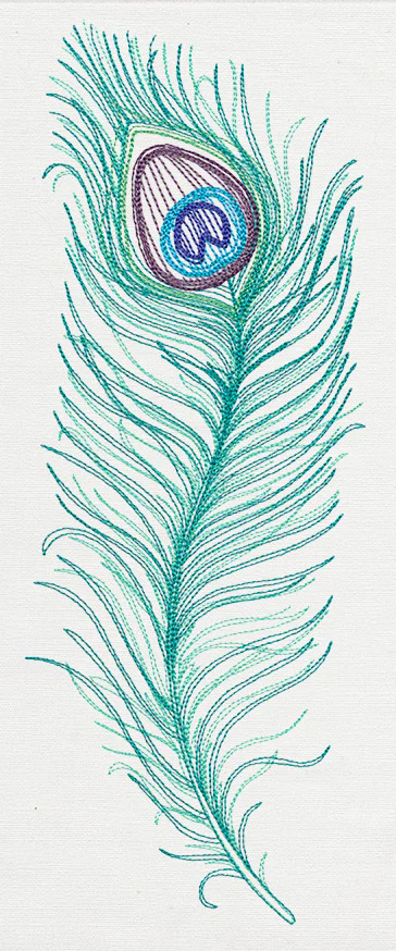 Peacock Quill