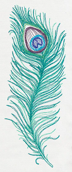 Peacock Quill - Image 3