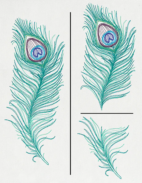 Peacock Quill (Split) - Image 3