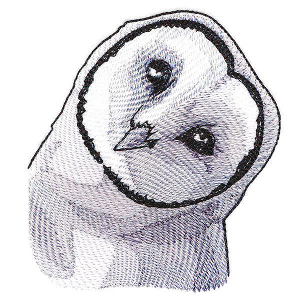 Peeking Barn Owl - Image 7