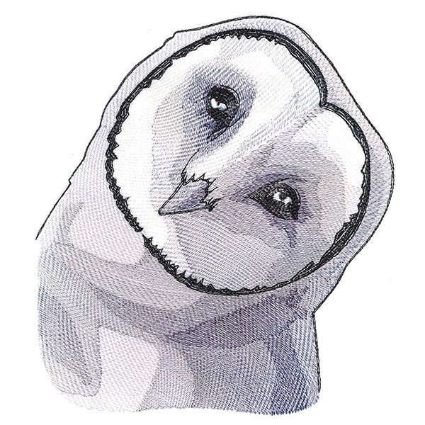 Peeking Barn Owl - Image 9