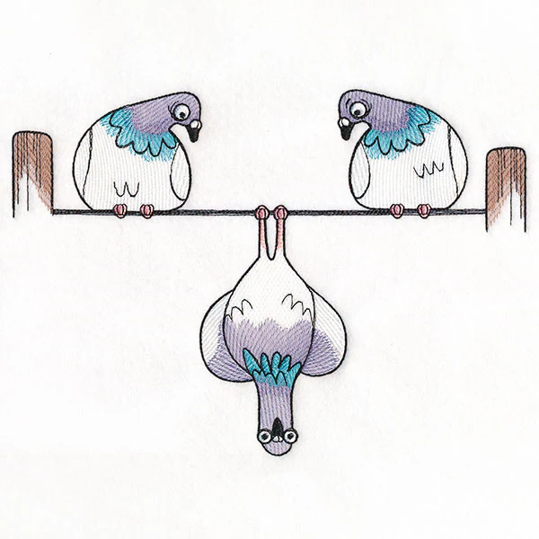 Pigeon Problems Border