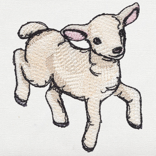 Playful Lamb - Image 4