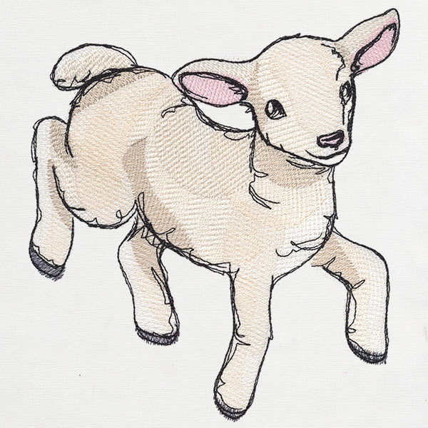 Playful Lamb - Image 5