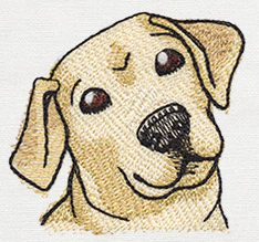 Pocket Pets - Puppy - Image 3