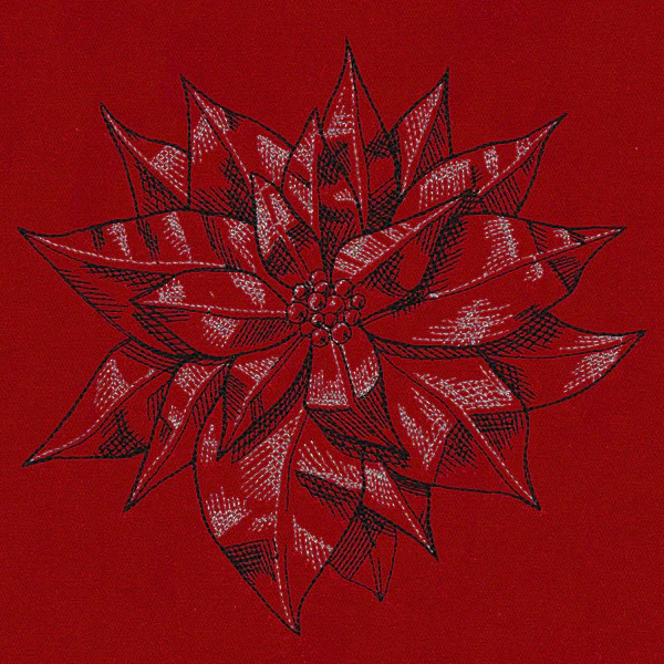 Poinsettia Sketch - Image 2