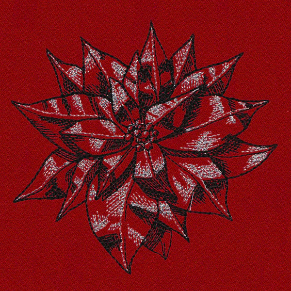 Poinsettia Sketch - Image 4