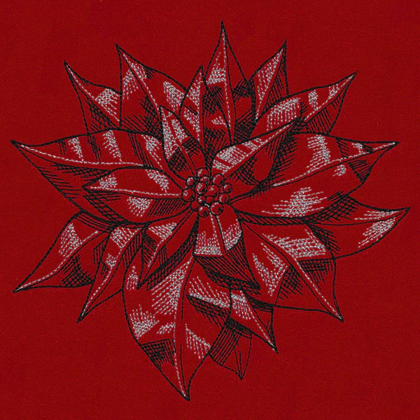 Poinsettia Sketch - Image 5