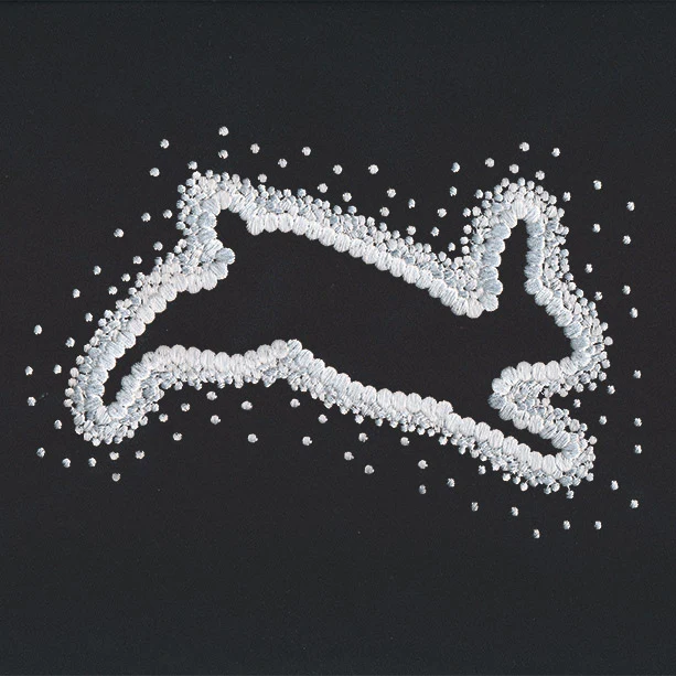 Pointed Rabbit - Image 4