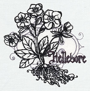Pretty Poison - Hellebore - Image 3