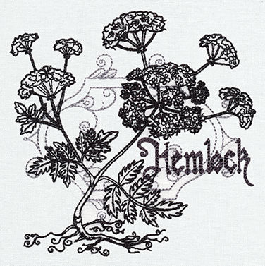 Pretty Poison - Hemlock - Image 2
