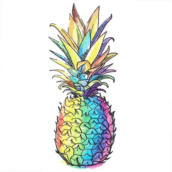 Rainbow Dreams Pineapple - Image 3