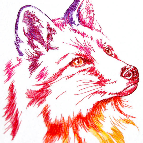 Rainbow Fox - Image 6