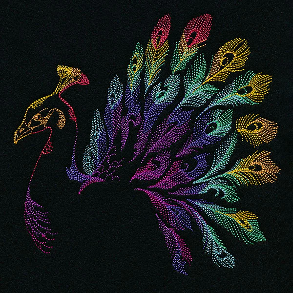 Rainbow Peacock - Image 2