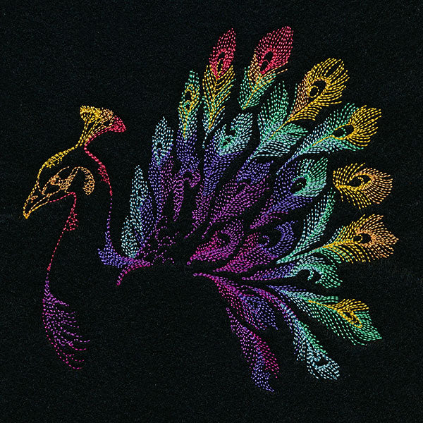 Rainbow Peacock - Image 3