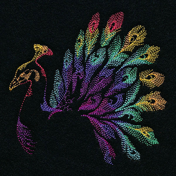 Rainbow Peacock - Image 4